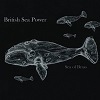 British Sea Power Sea Of Brass cover