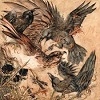 Valkyrie Shadows cover