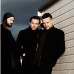 White Lies 1