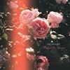 Las Kellies Friends & Lovers cover