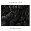 Lubomyr Melnyk Rivers And Streams cover