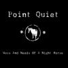 Festivalinfo recensie: Point Quiet Ways And Needs Of A Night Horse