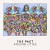 Cover The Pact - Possibilities