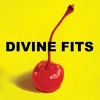 Festivalinfo recensie: Divine Fits A Thing Called Divine Fits