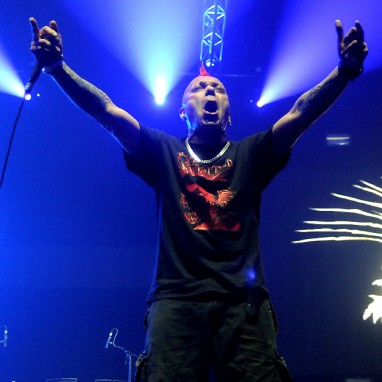 The Exploited