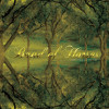 Festivalinfo recensie: Band Of Horses Everything All The Time (20th Anniversary Edition)