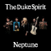 TheDukeSpirit