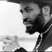 Eek-A-Mouse