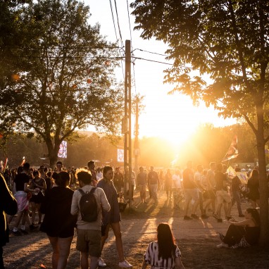 Sfeer festival natuur (Sziget)