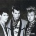 stray cats