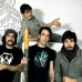 wolf parade