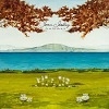Cover Joan Shelley - Like The River Loves The Sea
