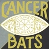 Festivalinfo recensie: Cancer Bats Searching For Zero