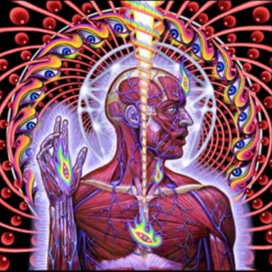 Tool news_groot