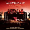 David Gilmour – Live In Gdansk