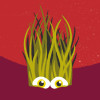 Festival Dranouter 2025 logo