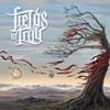 Cover Fields Of Troy - The Great Perseverance