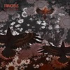 Festivalinfo recensie: Traversus Navigate