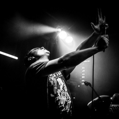 review: Pigs Pigs Pigs Pigs Pigs Pigs Pigs - 02/05 - Cinetol Pigs Pigs Pigs Pigs Pigs Pigs Pigs