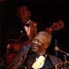bbking