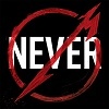 Festivalinfo recensie: Metallica Through The Never