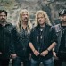 Y&T