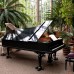 hortus