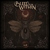 Festivalinfo recensie: Bleed From Within Uprising