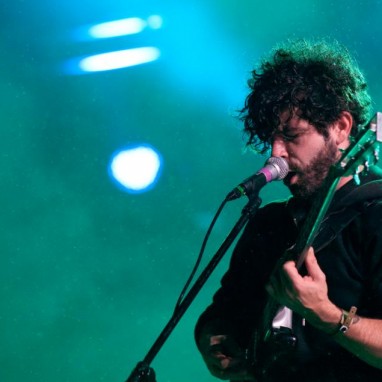 Foals