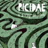 Cover Picidae - A Stray Labyrinth