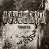 Cover Gotthard - Silver
