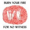 Festivalinfo recensie: Angel Olsen Burn Your Fire For No Witness