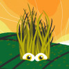 Festival Dranouter 2026 logo