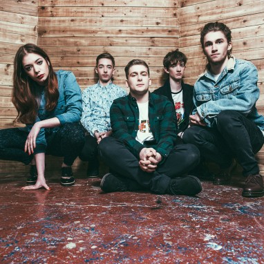 Marmozets