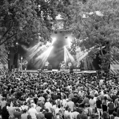 Cactusfestival sfeer 2017