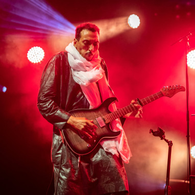 Bombino