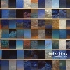 Festivalinfo recensie: Tindersticks The Something Rain