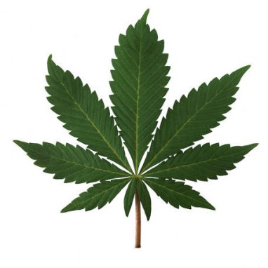 hightimes
