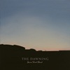 Festivalinfo recensie: Steven Troch Band The Dawning