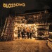 Blossoms