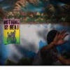Crystal Antlers Nothing Is Real cover