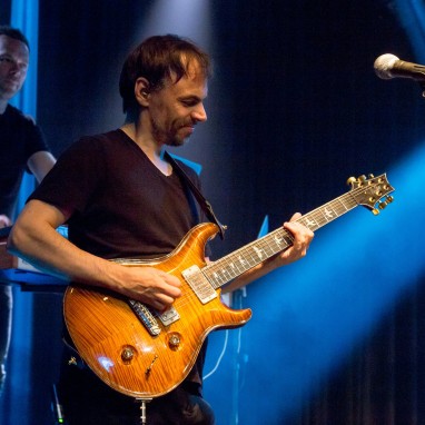 The Pineapple Thief