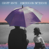 Festivalinfo recensie: Gruff Rhys American Interior