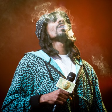 Snoop Dogg Lion