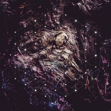 Psychonaut