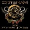 Whitesnake - Live shadow