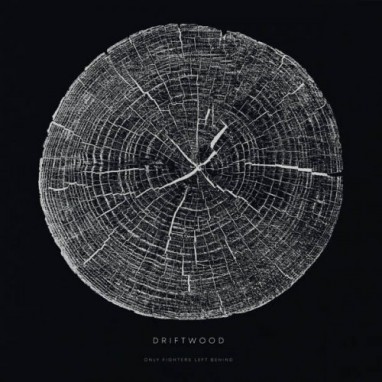 Driftwood