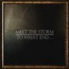 Cover Meet the Storm - To What End...