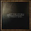 Podiuminfo recensie: Meet the Storm To What End...