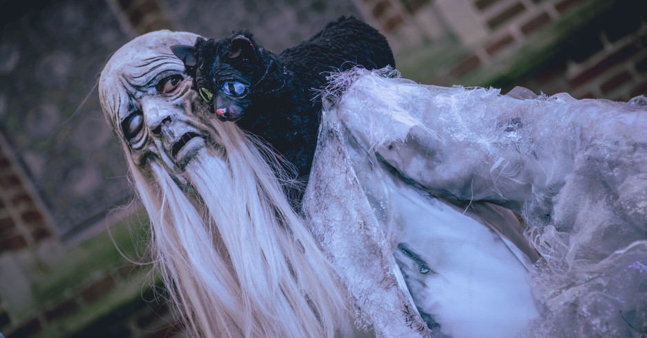 Festivalinfo review: Elfia Haarzuilens 2025